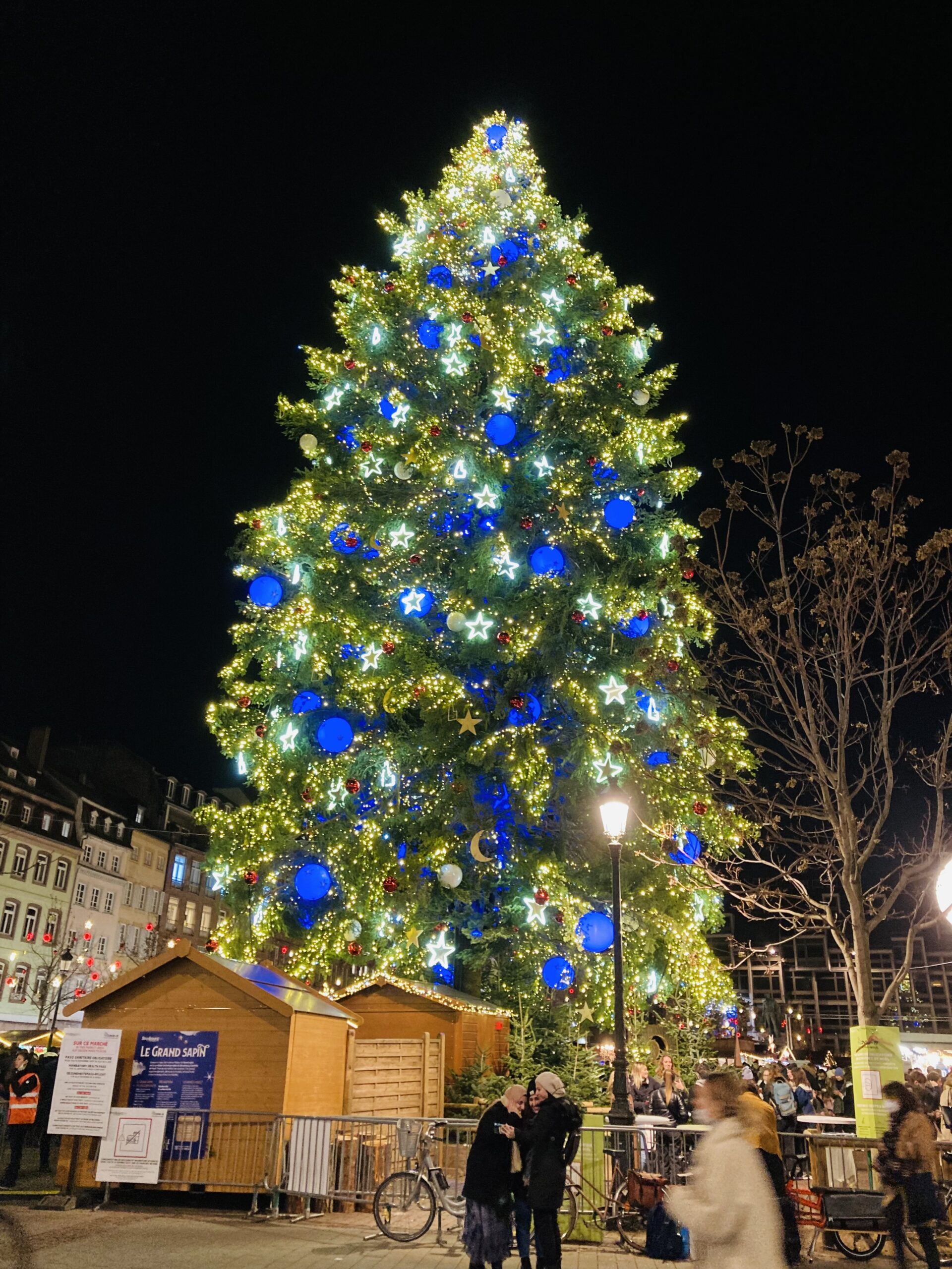 フランスでクリスマスツリーを飾る！買い方や処分方法もご紹介